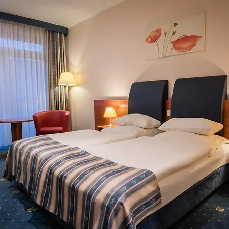 ホテル Skyhotelgwarna 4*